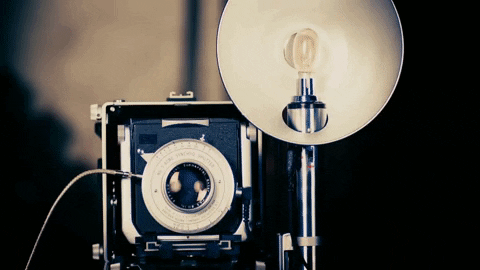 Camera Flash GIF by Little Mix.gif
